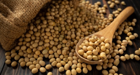 Mau Kulit Cerah? Ini Rekomendasi Skincare dengan Soybean yang Wajib Dicoba!