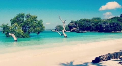 Pantai Oeseli, Persona Pantai Berpasir Putih di Nusa Tenggara Timur