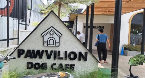 Pawvilion Dog Cafe, Rekomendasi Tempat Nongkrong Seru Bareng Anjing Lucu