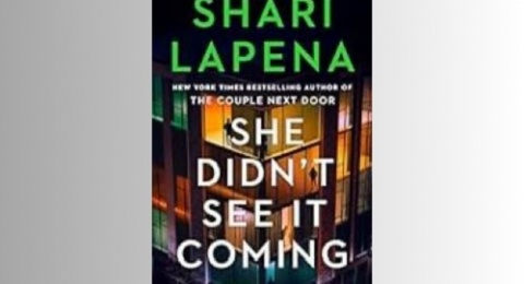 Ulasan Novel She Didn't See It Coming: Misteri Hilangnya Istri dan Ibu