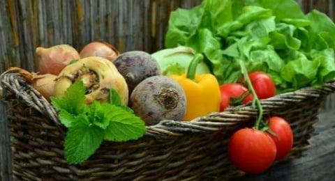 Menu Makanmu Selamatkan Bumi? Pola Makan Ini Pangkas Emisi Lebih Efektif dari Teknologi Mahal