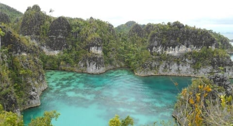 Surga Terakhir di Bumi yang Hilang: Ketika Raja Ampat Dikepung Tambang