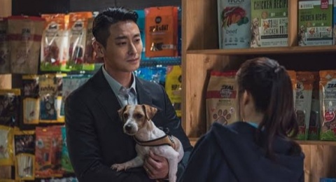 Review Film Gentleman, Cerita Tipis Penuh Aksi tapi Klise?