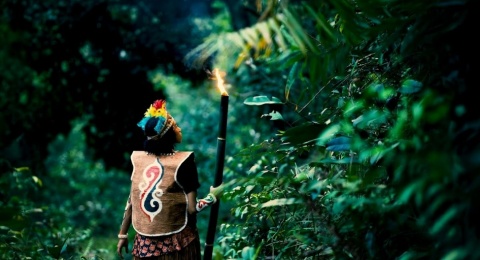 Suara dari Tanah yang Terluka: Orang Muda Papua Menuju COP30