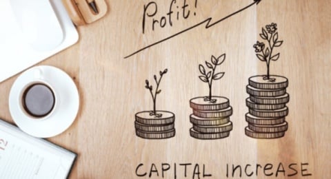 Konsesi dalam Bayang Konglomerat: Bisnis Karbon atau Kapitalisme Hijau?