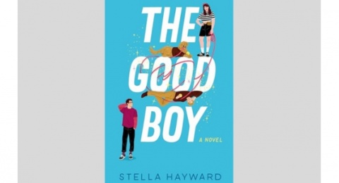 Ulasan Novel The Good Boy: Petualangan Ajaib Genie dalam Menemukan Cintanya