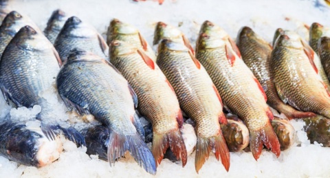 Kerap Dianggap Limba, Pakar IPB Ungkap Kepala Hingga Sisik Ikan Bisa Bernilai Ekonomis