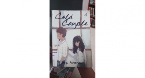 Ulasan Novel Cold Couple: Kisah Cinta Dingin yang Menghangatkan Jiwa