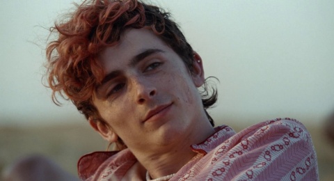 Timothee Chalamet Mengaku Kecewa Tak Jadi Best Actor di Ajang Besar