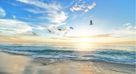 Antara Pasir yang Berjalan: Cerita Ketangguhan dari Pesisir Selatan Lombok