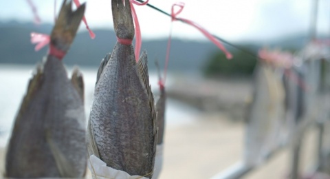 Perempuan yang Menjemur Pagi: Cerita Ketangguhan dari Pesisir Demak