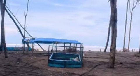 Rezeki yang Hilang Ditelan Gelombang Laut dan Abrasi Pesisir Pantai Cilacap