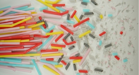 Waspada! 5 Bahaya Mikroplastik yang Diam-Diam Mengancam Kesehatan Tubuh