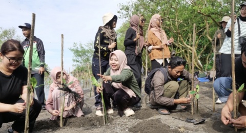 Dari Pesisir untuk Warga: Aksi Tanam Mangrove Suara Hijau dan Sketch and Write