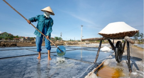 Di Bawah Matahari yang Tak Berbelas Kasihan: Kegigihan Petani Garam Rembang