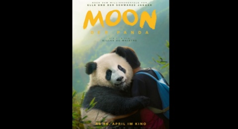 Review Film Moon The Panda: Kisah Inspiratif tentang Pelestarian Satwa