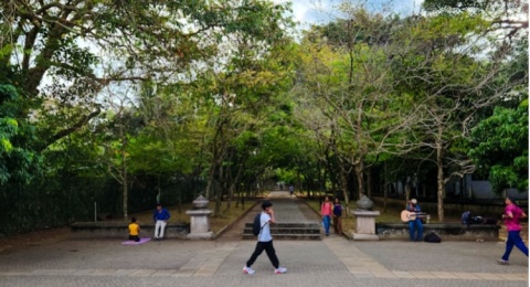The Power of Nature: Cara Sederhana Menghilangkan Stres dengan Kembali ke Alam
