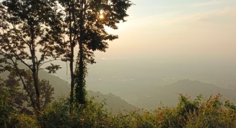 Puncak Watu Bengkah Gunung Klotok Kediri: 536 Mdpl yang Bikin Ngos-ngosan