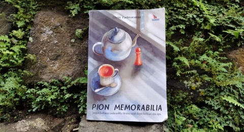 Review Novel Pion Memorabilia: Bagaimana Bidak Kecil Mengubah Nasib Seorang Anak yang Dianggap Gagal
