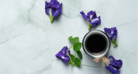 Panduan Lengkap: Dari Keringkan Sampai Jadi Bubuk, Cara Mengolah Bunga Telang di Rumah