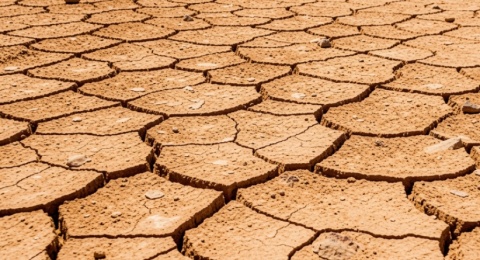 Perubahan Iklim Tingkatkan Risiko Kematian, Negara Miskin Paling Terdampak