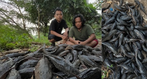 Suara dari Sungai Ciliwung: Ketika Warga Menggantikan Peran Negara