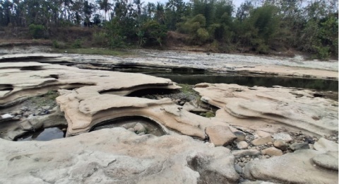 Korban FOMO Merapat! Eksotisnya Wajah Sungai Bogowonto Purworejo Saat Surut