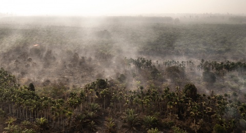 Karhutla 2026: Nusa Tenggara Timur Catat Area Terbakar Terluas, Lampaui Kalimantan
