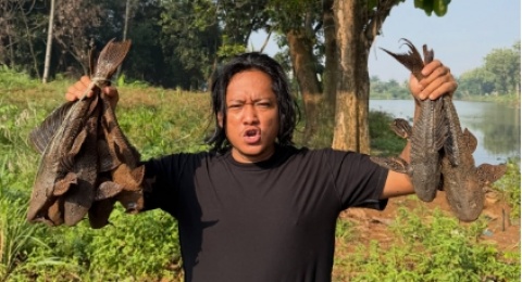 Mitos Ikan Pembersih: Sapu-Sapu Monster Invasif Penghancur Ekosistem