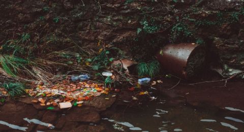 Enzim Bakteri Bisa Urai Plastik, Ilmuwan Kembangkan Material Biodegradable