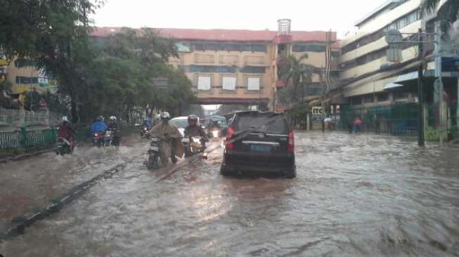 Hindari Jalan Ini, Banyak Pohon Tumbang Usai Jakarta Diguyur Hujan