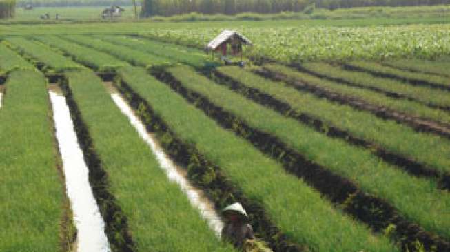 FAO: Lahan Subur dan Produktif Makin Menipis