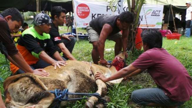 ACT Beli Ternak Warga Korban Gunung Kelud