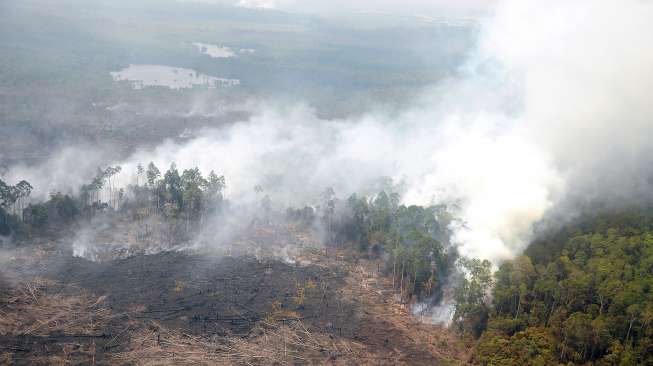 Riau Kembali Diselimuti Asap
