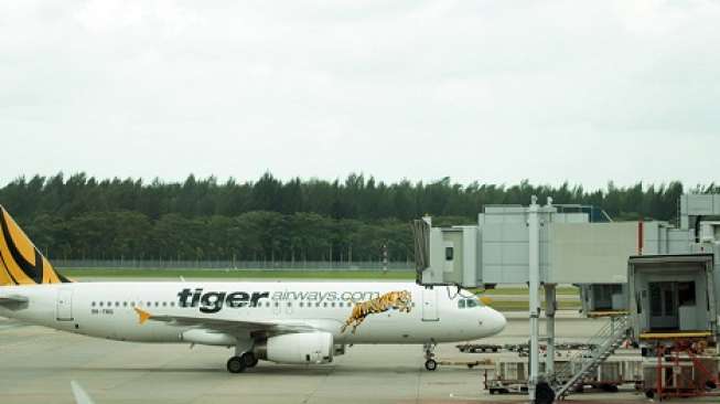 Jumlah Penumpang Tigerair Meningkat 14 Persen