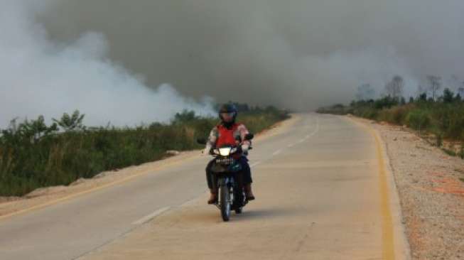 BNPB: Semua Wilayah di Riau dan Sumbar Tertutup Kabut Asap