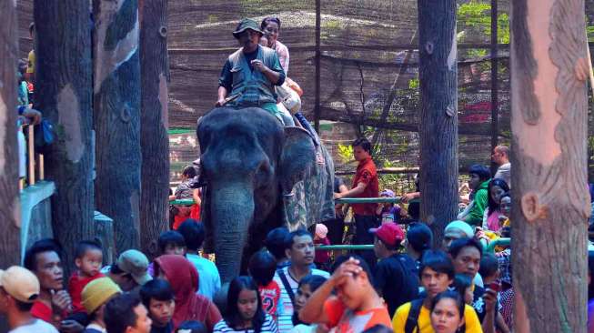 Kebun Binatang Ragunan, Jakarta Selatan, dipadati pengunjung mengisi libur panjang, Senin (31/3). [suara.com/Adrian Mahakam]