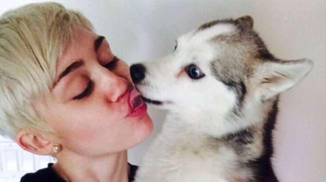 Anjing Kesayangan Mati, Miley Cyrus Berkabung