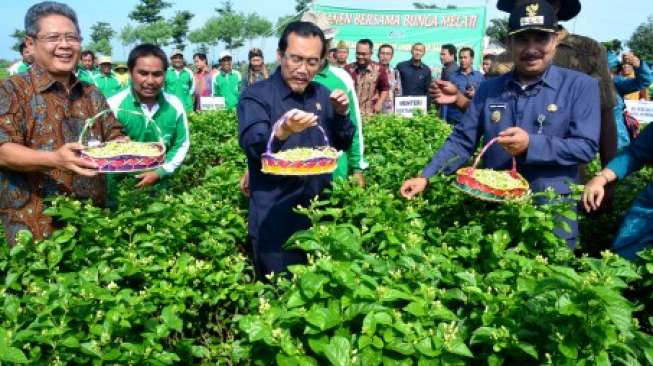 Mentan: Presiden Terpilih Mesti Perluas Lahan Pertanian