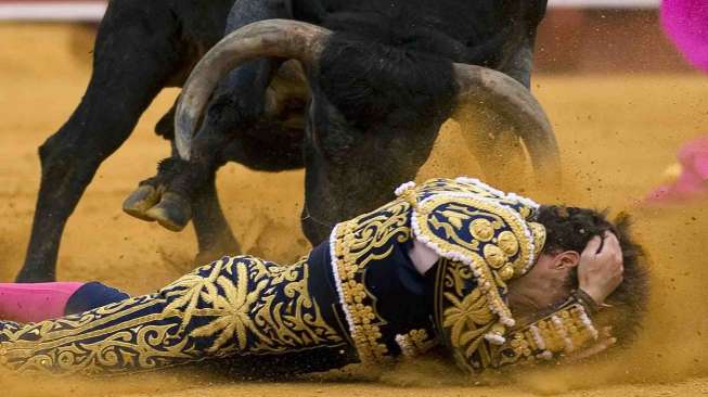 Matador Manuel Escribano diseruduk banteng saat pertunjukan adu banteng dengan matador di arena The Maestranza, Seville, Andalusia, Minggu (20/4). [Reuters/Marcelo del Pozo]