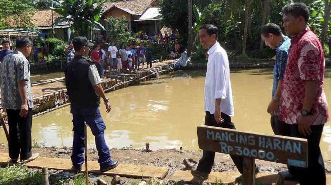 Gubernur DKI Jakarta Joko Widodo (Jokowi) meninjau pembangunan Waduk Brigif di Jalan Haji Aselih, Cipedak, Jagakarsa Selatan, Kamis (24/4). [suara.com/Bagus Santosa]