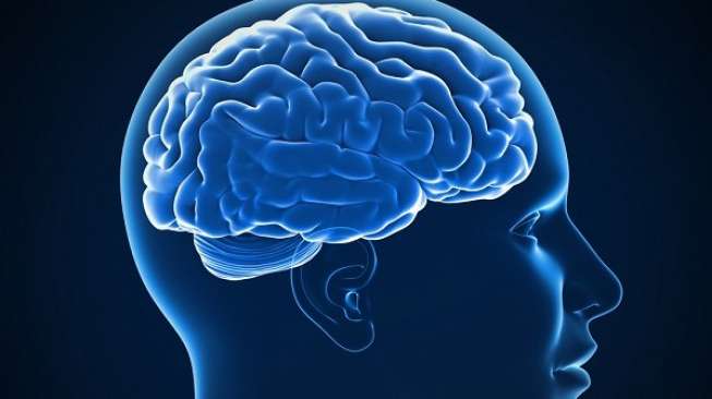 Ilustrasi otak manusia. (Shutterstock)