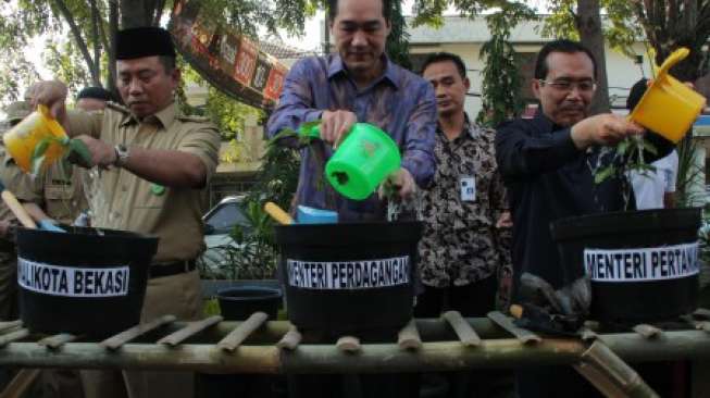 Pupuk Langka, DPR Panggil Menteri Pertanian