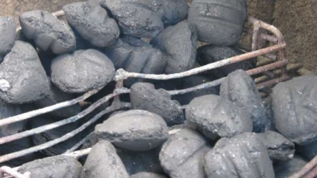 Iseng-iseng Bakar Ulekan Batu di Atas Kompor, Perempuan ini Temukan Belatung