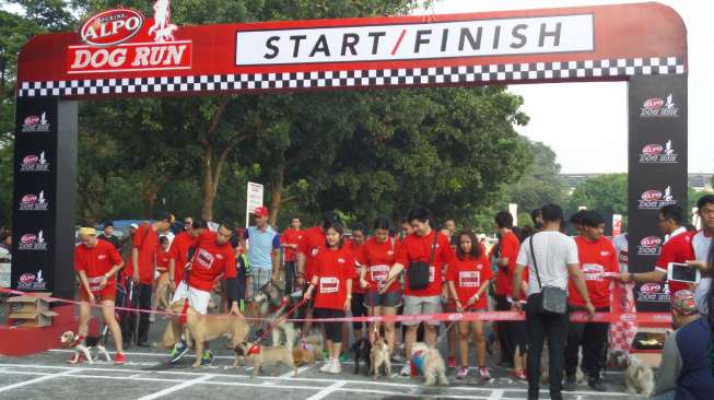 Lomba Lari Bersama Anjing Digelar Hari Ini