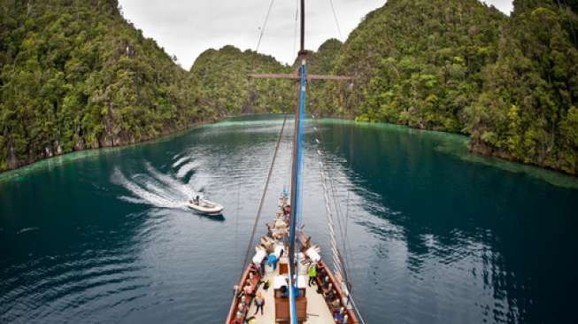 Berenang Bersama Pari Manta di Raja Ampat, Siapa Mau?