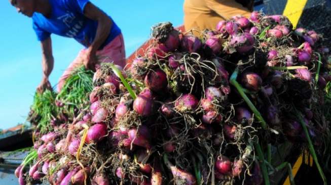 Harga Bawang Merah Semakin Mahal