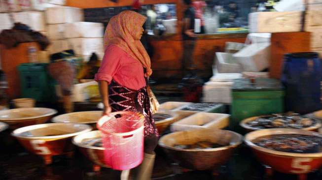 Ratih, seorang pengepul ikan memilih ikan di Muara Angke, Jakarta untuk dijual kembali secara eceran di Pasar Anyar Tangerang. [suara.com/Adrian Mahakam]