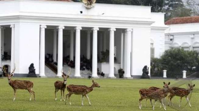 Tinggal di Area Istana Kepresidenan, Mantan Asisten Gus Dur Alami Peristiwa Misterius