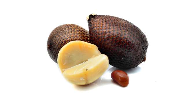 Ilustrasi buah dan biji salak. (Sumber: Shutterstock)